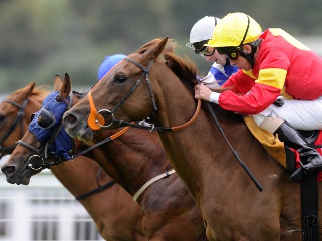 Timeform pick out three bets from South Africa on Saturday